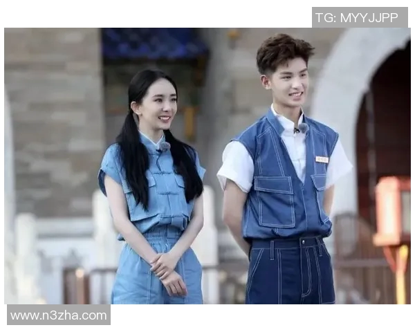 南北明星对决2018年谁才是更受欢迎的偶像之争与魅力分析